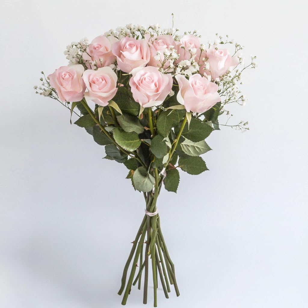 Fresh Pink Roses Bouquet - Dozen Long Stem Roses with Fillers for Mother's Day, Wedding, Anniversary, Birthday, Bridal Shower | Perfect Floral Gift & Home Decor Centerpiece