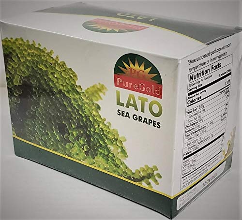 Puregold Lato Sea Grapes in Box - Ararosep (7 Boxes / 70 Packs) | Premium Dried Seaweed Snack | Healthy Vegan Superfood | Perfect for Salads, Sushi & Asian Cuisine