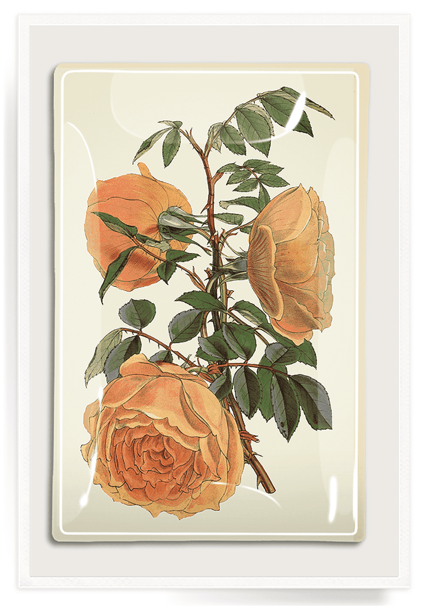 Peach Rose Blossoms Decoupage Glass Tray - Elegant Serving Tray for Tea Parties, Bridal Showers & Home Decor