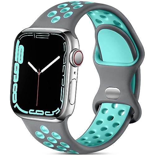 Gray Teal
