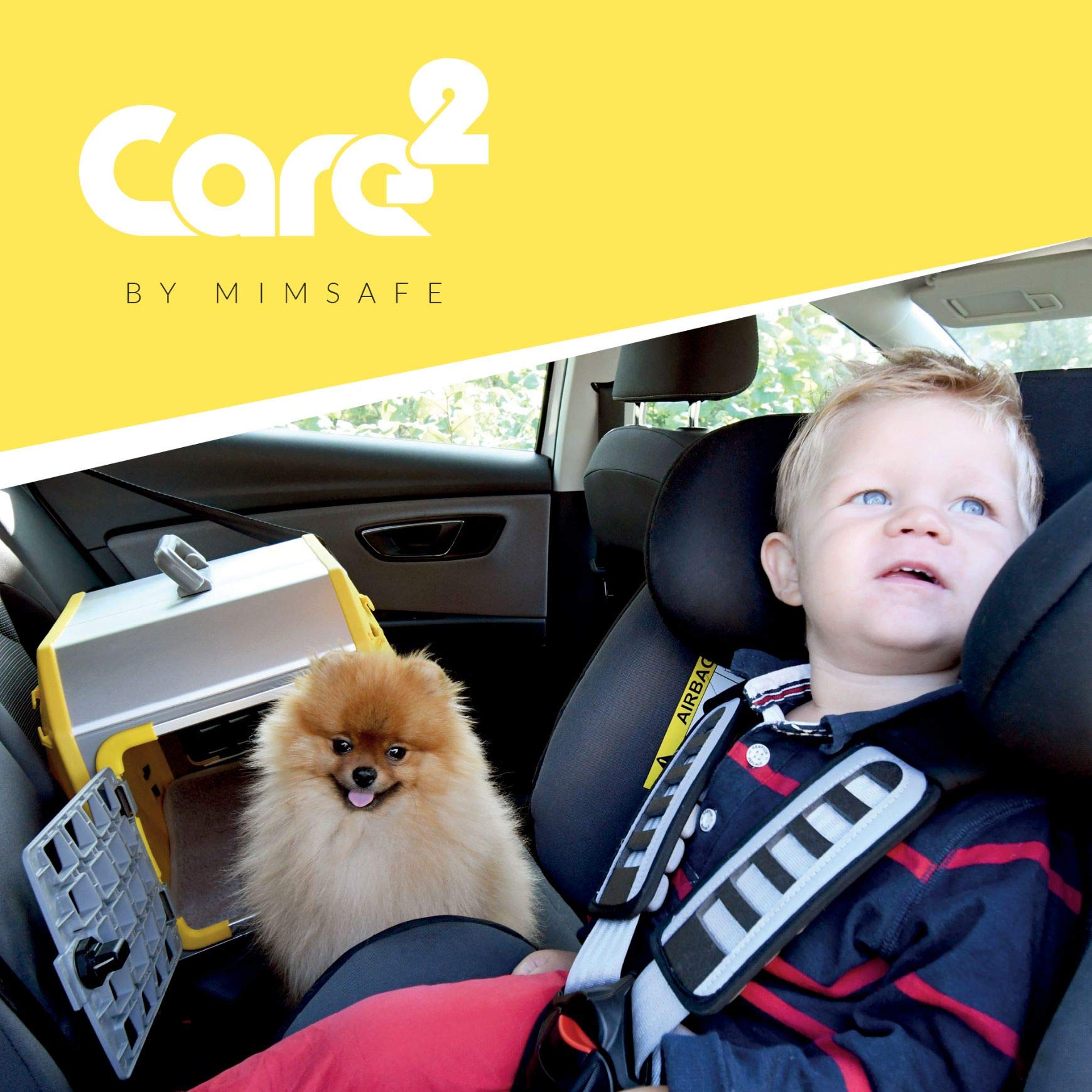 Crash Tested Pet Car Seat Carrier for Dogs & Cats - Medium Size, Grey - Safe & Comfortable Travel Carrier for Cars, Road Trips, and Vet Visits