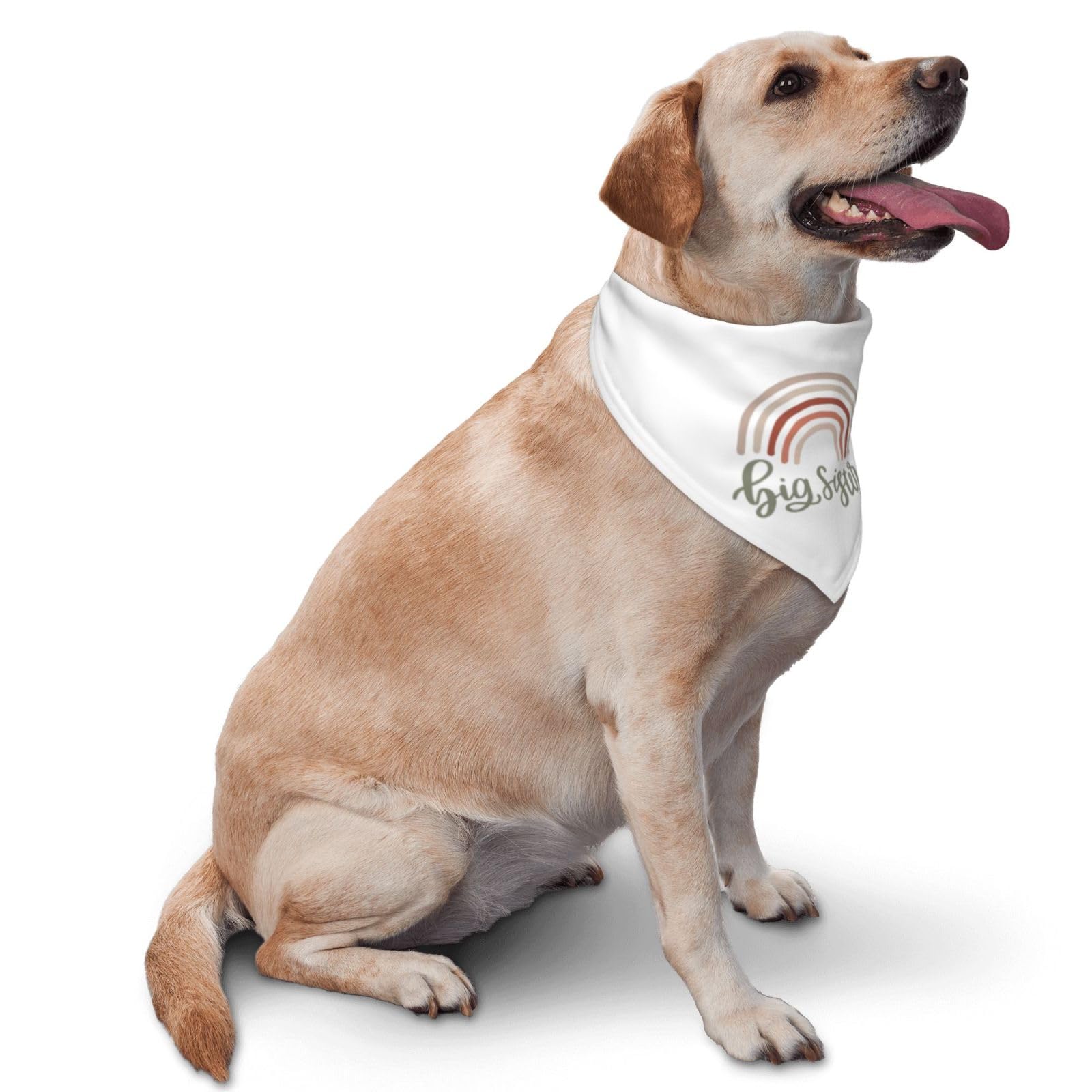 Rainbow Dog Bandanas for Big Sisters - Cute Pet Bandanas for Parties & Costume Accessories - Perfect Gift for Dog Lovers (White) - Great for Birthday Celebrations, Pet Photos & Special Occasions
