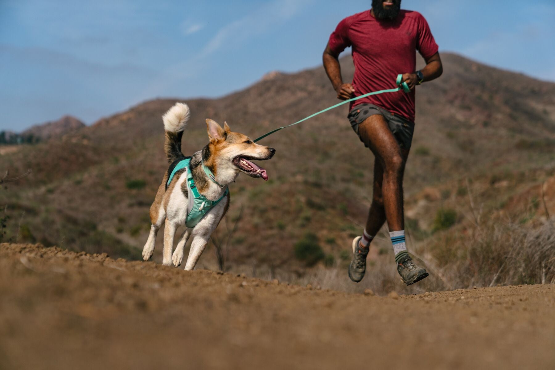 Ruffwear Hi & Light® Ultralight Dog Harness in Phosphorescent Yellow (Lichen Green) - Perfect for Hiking, Running & Outdoor Adventures with Your Pet