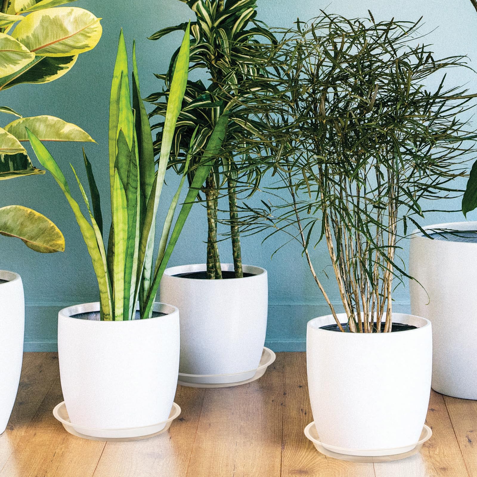 10 Inch Clear Plastic Plant Saucers (5 Pack) - Durable Water Catcher Trays for Indoor & Outdoor Flower Pots - Perfect for Home, Garden, and Balcony Planters - Prevents Water Damage to Floors and Surfaces