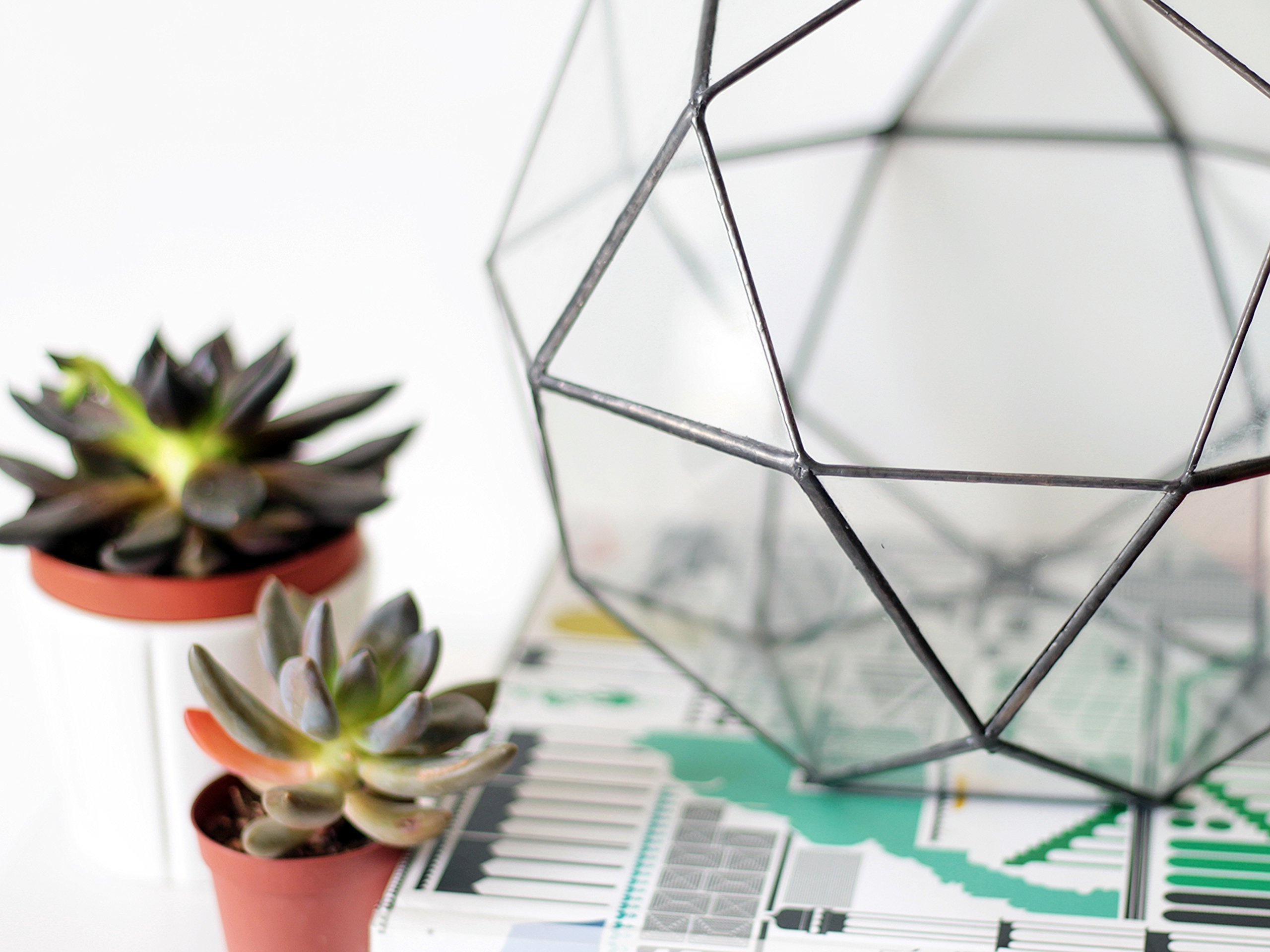 Geometric Glass Terrarium Planter for Indoor Plants - Large Icosidodecahedron Shape in Copper, Silver & Black - Modern Home & Office Decor for Succulents, Air Plants & Mini Gardens