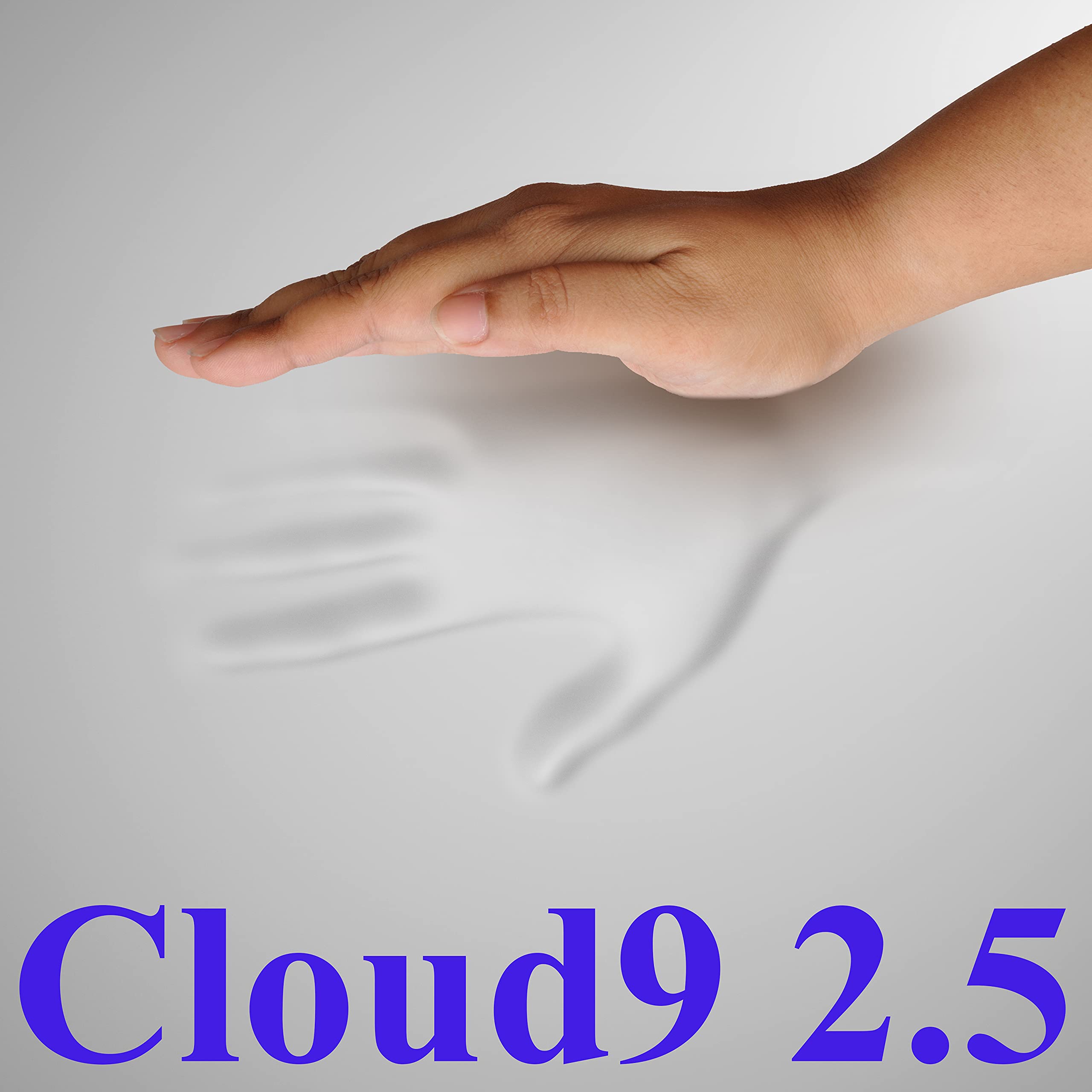 2.5 Inch Cloud9 Gel-Infused Queen Memory Foam Mattress Topper with Expandable Cover & 2 Contour Pillows - 100% Visco Elastic for Pressure Relief - Perfect for Back Pain, Hot Sleepers & Side Sleepers