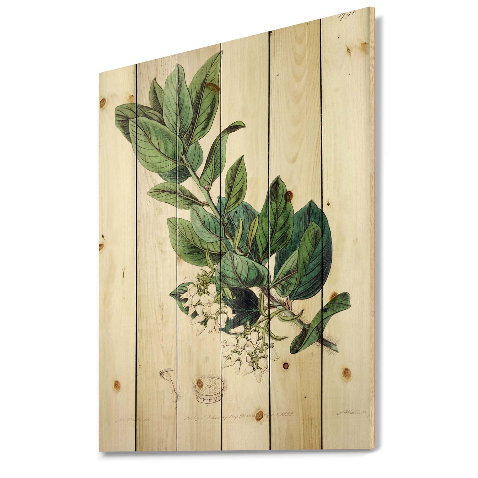 Vintage Botanicals Traditional Wood Wall Decor - Large Floral Wood Wall Art Panels Printed on Natural Pine - Perfect for Living Room, Bedroom, or Office Decoration