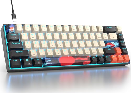 Red Switch/68Carbon