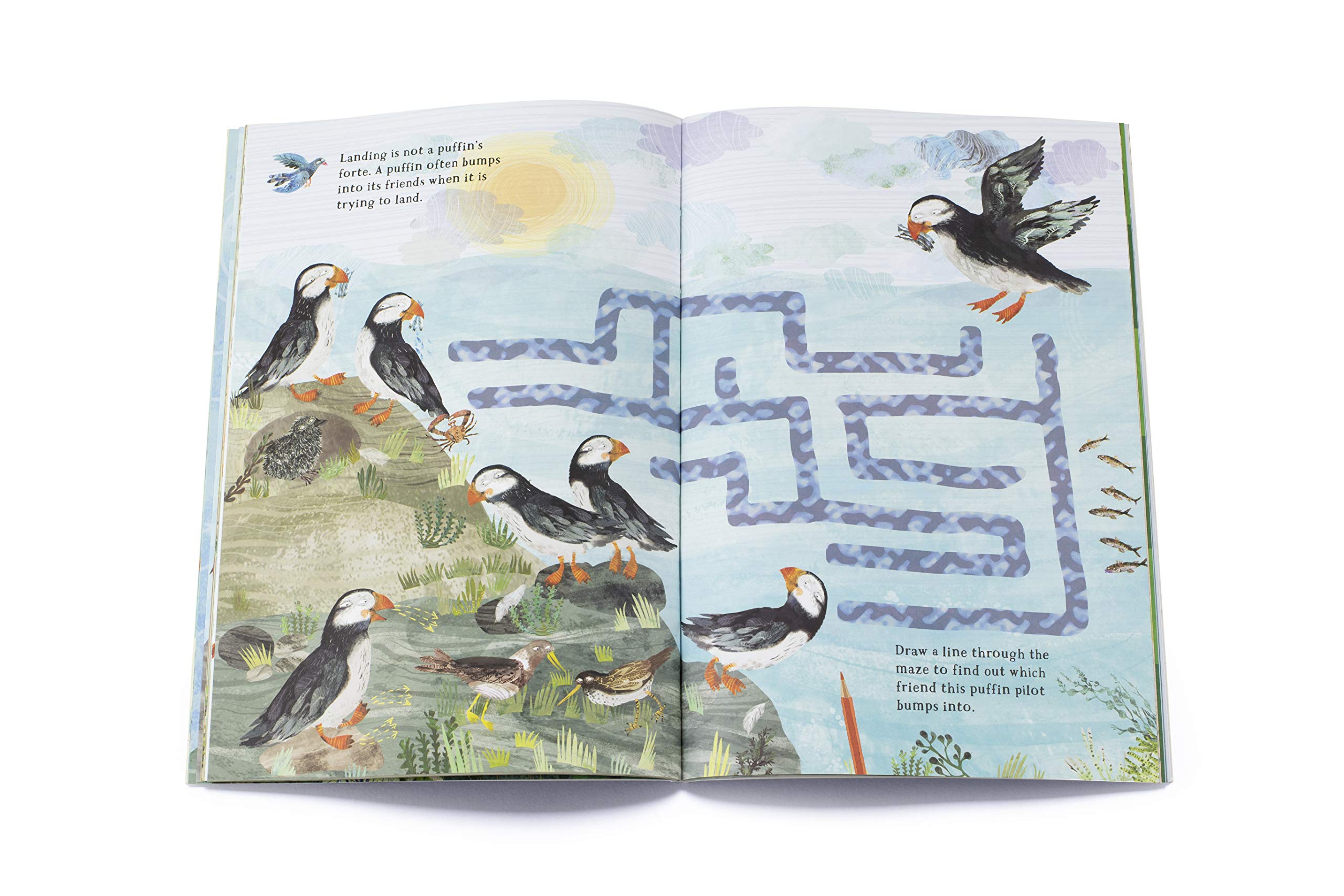 Big Sticker Book of Birds - 100+ Colorful Bird Stickers for Kids, Scrapbooking, DIY Crafts & Educational Activities | Perfect for Classroom, Homeschooling & Nature Lovers