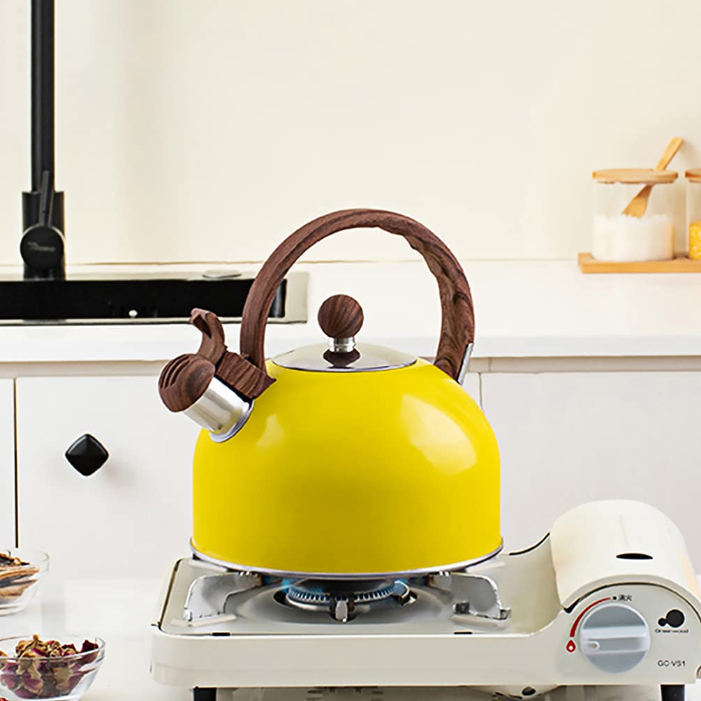 HEMOTON 1Pc Stainless Steel Whistling Tea Kettle - Small Farmhouse Pot for Boiling Water, Tea & Coffee - Perfect for Gas Stove, Camping & Travel - Durable Metal Water Pitcher for Home & Outdoor Use