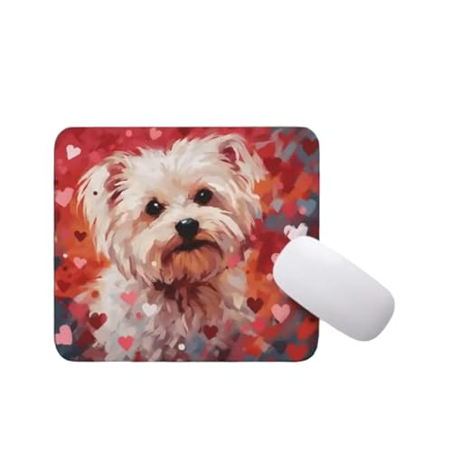 Maltese