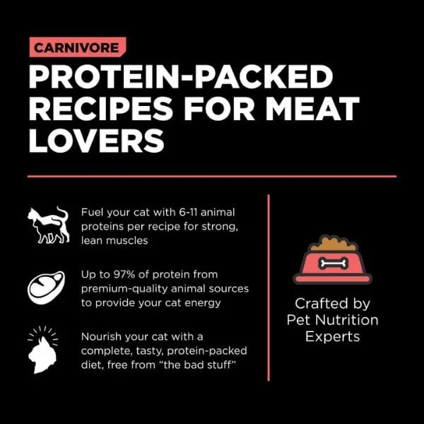 Go! Solutions Carnivore Grain-Free Salmon & Cod Recipe Dry Cat Food - High Protein, Natural Ingredients for Indoor & Outdoor Cats - Perfect for Weight Management & Healthy Skin