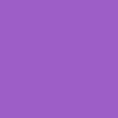 Purple (1-pack)