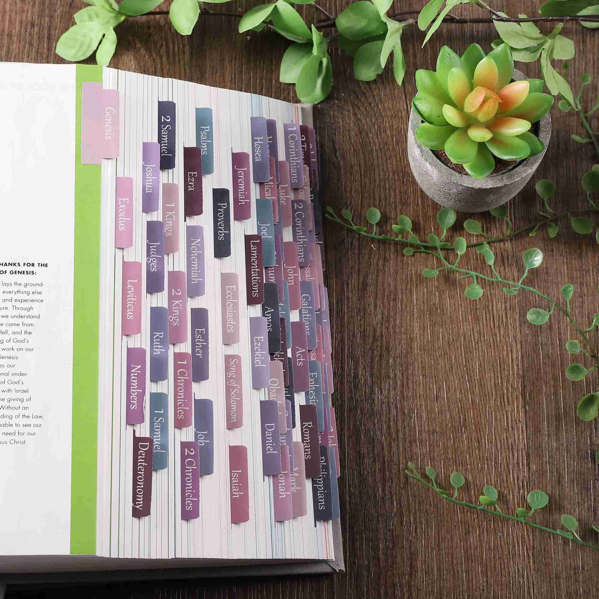 Thinkor Laminated Bible Tabs - Large Print Repositionable Christian Gift for Women & Men - Easy to Read Bible Journaling Tabs (Purple & Pink) - Perfect for Bible Study, Scripture Organization & Church Gifts