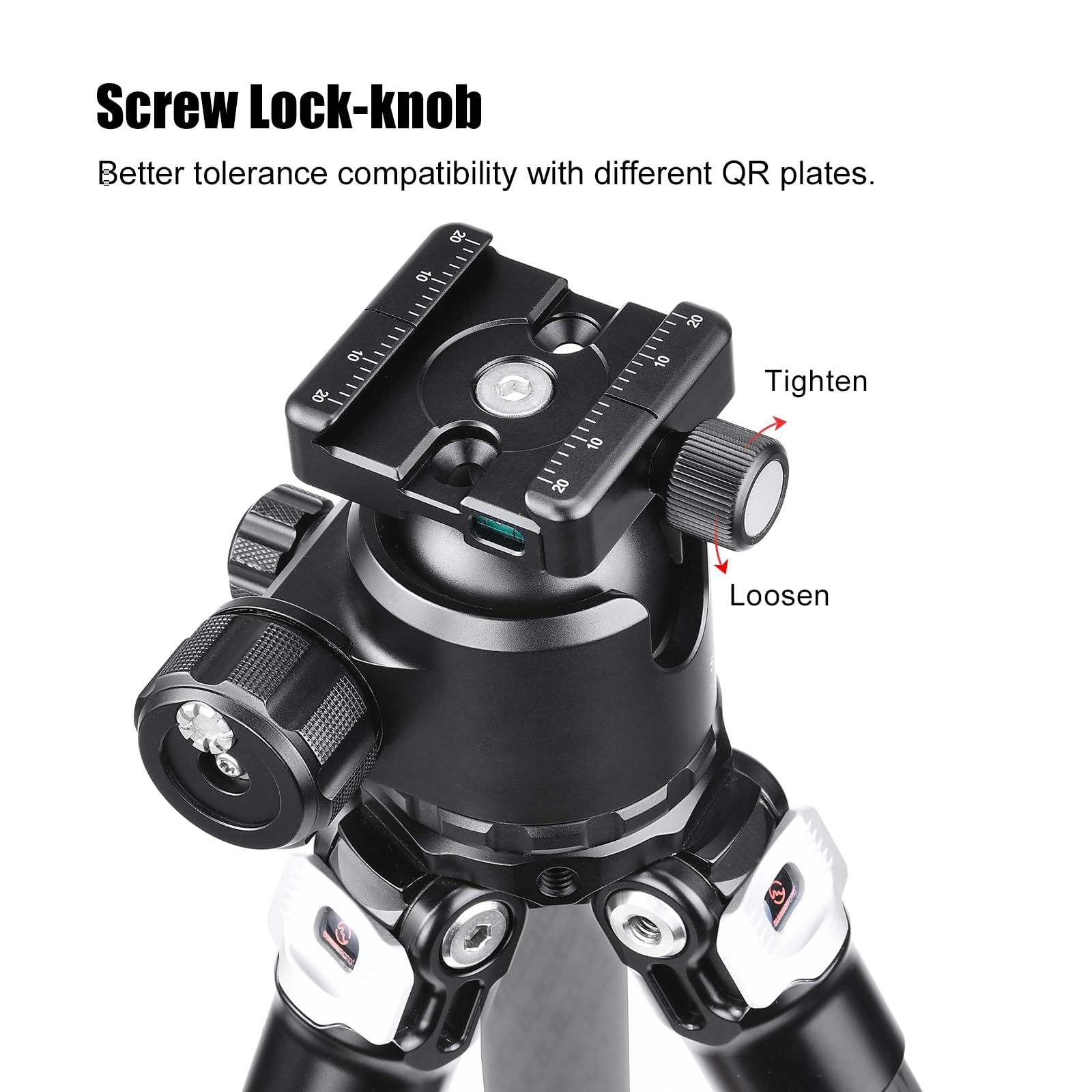 SUNWAYFOTO SQC-50 50mm Universal Arca Swiss Quick Release Clamp - Compatible with Tripods, Monopods & 17S Bipods for Photography and Videography