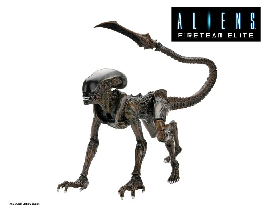 Aliens: Fireteam Elite Runner Alien Action Figure - Collectible Toy for Sci-Fi Fans & Movie Enthusiasts - Perfect for Display, Gifts, and Role-Playing Games