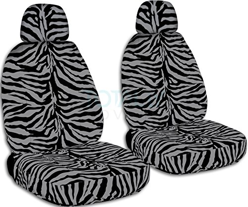 Silver Zebra