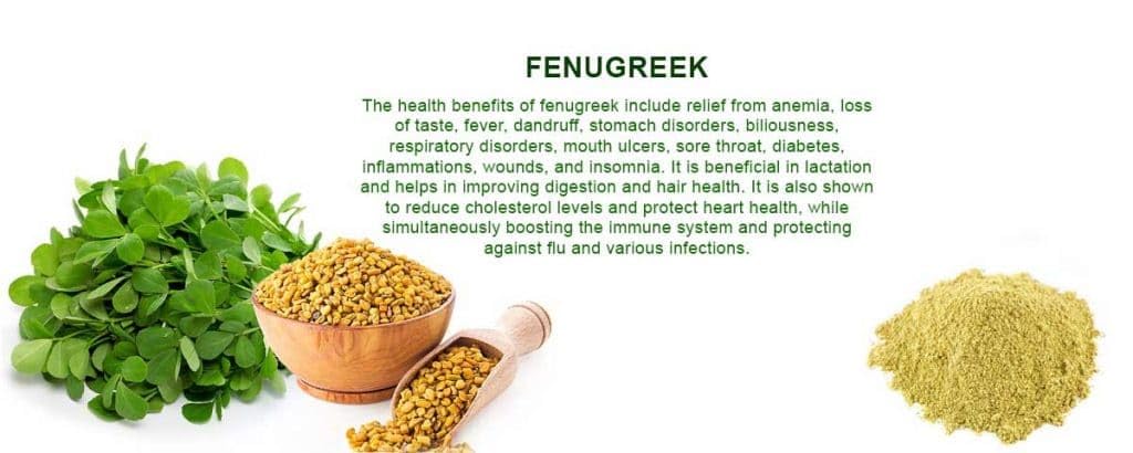 Herbal Fenugreek (Methi) Hair Oil - 100ml for Stress Relief, Anti-Dandruff & Hair Growth | Natural Ayurvedic Treatment for Dry Scalp & Damaged Hair | Perfect for Daily Hair Care & Relaxation