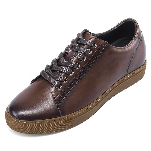Brown-241d