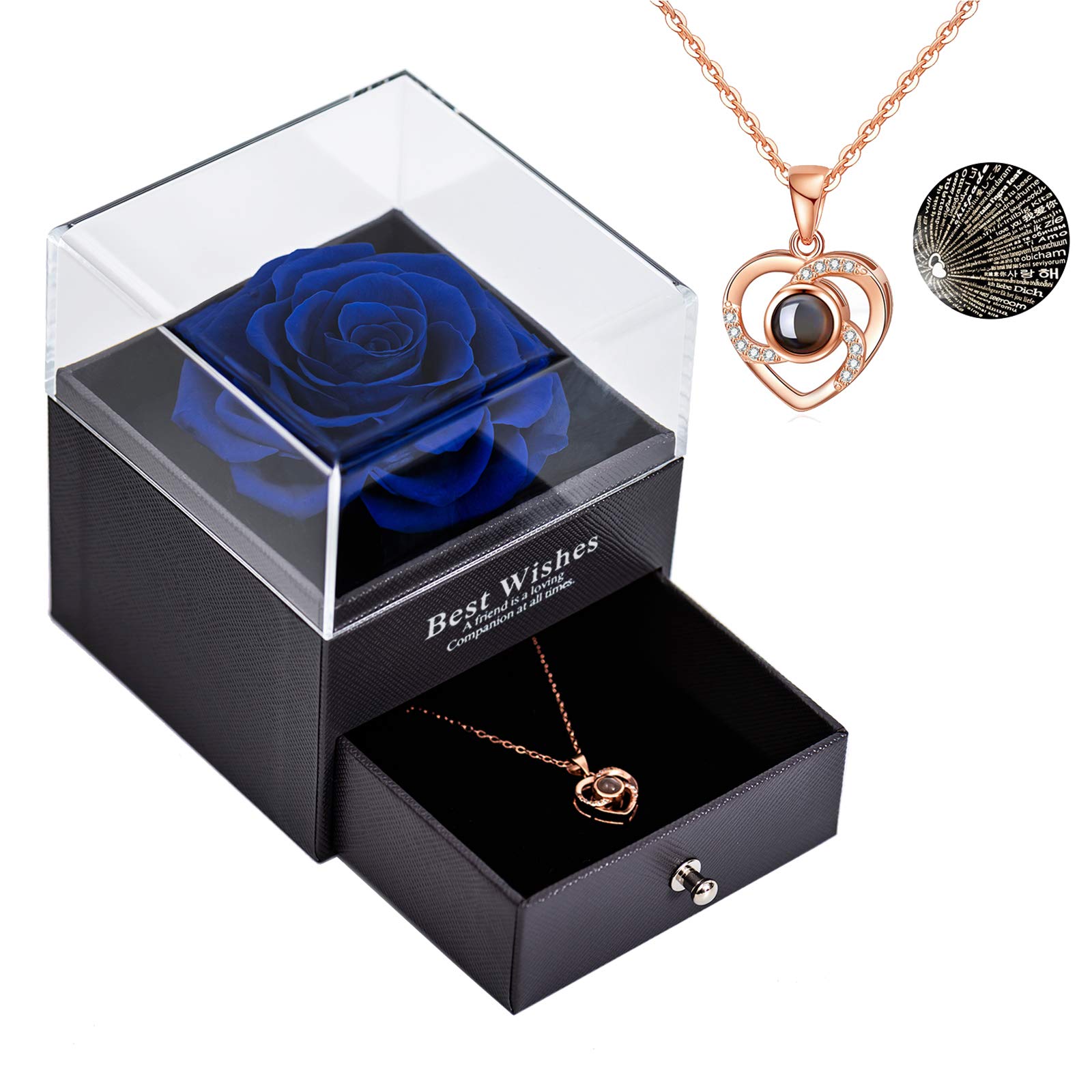 Yamonic Real Preserved Rose in Glass Dome with 'Love You' 100 Languages Necklace Gift Set - Anniversary, Valentine's Day, Birthday Present for Women, Wife, Girlfriend - Perfect for Romantic Occasions, Mother's Day & Christmas Gifts (Blue)