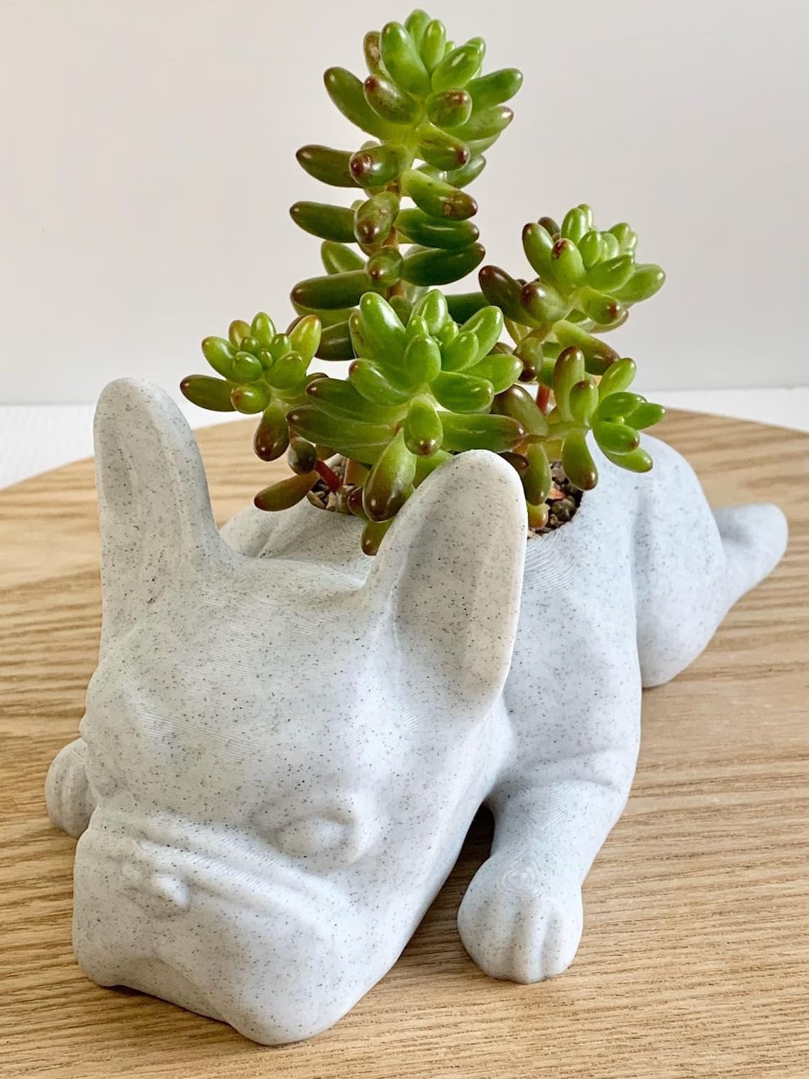French Bulldog Planter - Cute Doggy Planter for Succulents, Bar & Table Decor, Unique Gift for Dog & Plant Lovers (Marble Design) - Perfect for Home, Office & Garden Decor