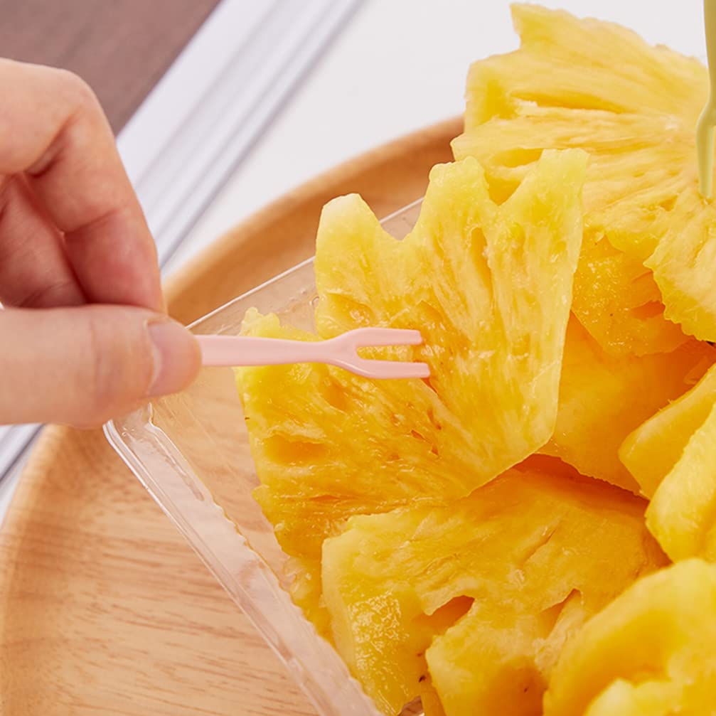 150 Pcs Colorful Fruit Forks - Reusable Snack Sticks for Appetizers, Cakes, Sushi & Salads | Perfect for Parties, Picnics & Home Entertaining