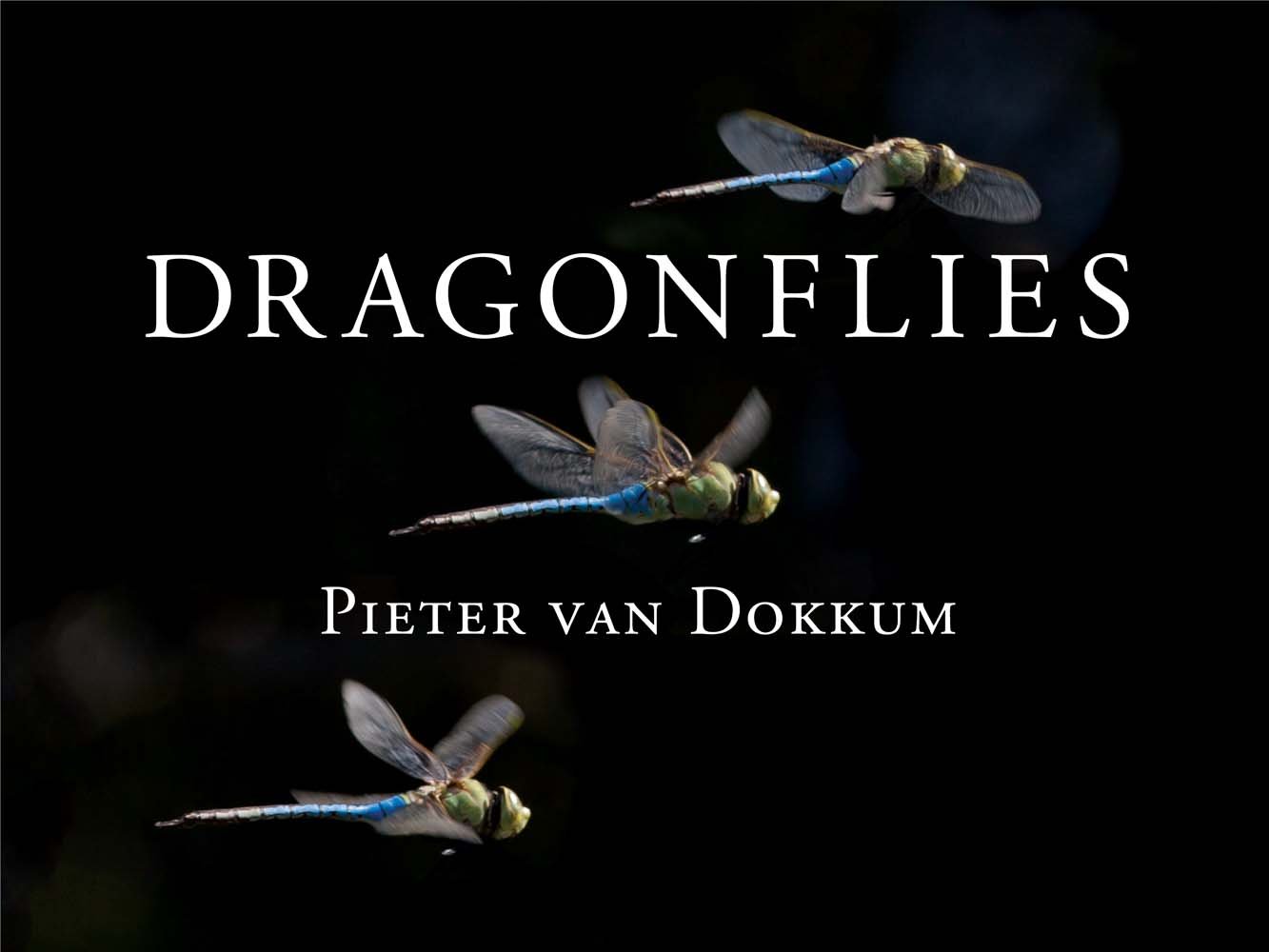 Dragonflies: Stunning Aquatic & Aerial Insects for Nature Lovers | Perfect for Garden Decor, Wildlife Photography & Educational Displays