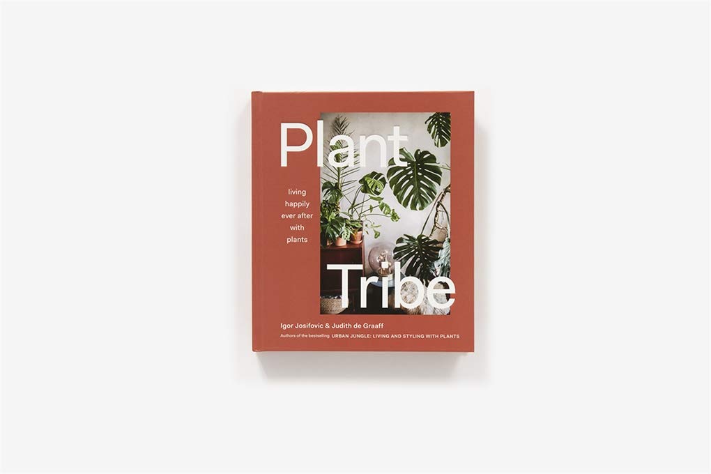 Plant Tribe: Best Indoor Plants for Home Decor, Wellness & Air Purification - Reduce Stress & Improve Air Quality | Perfect for Apartments, Offices & Relaxation Spaces | Enhance Living Rooms, Bedrooms & Workspaces