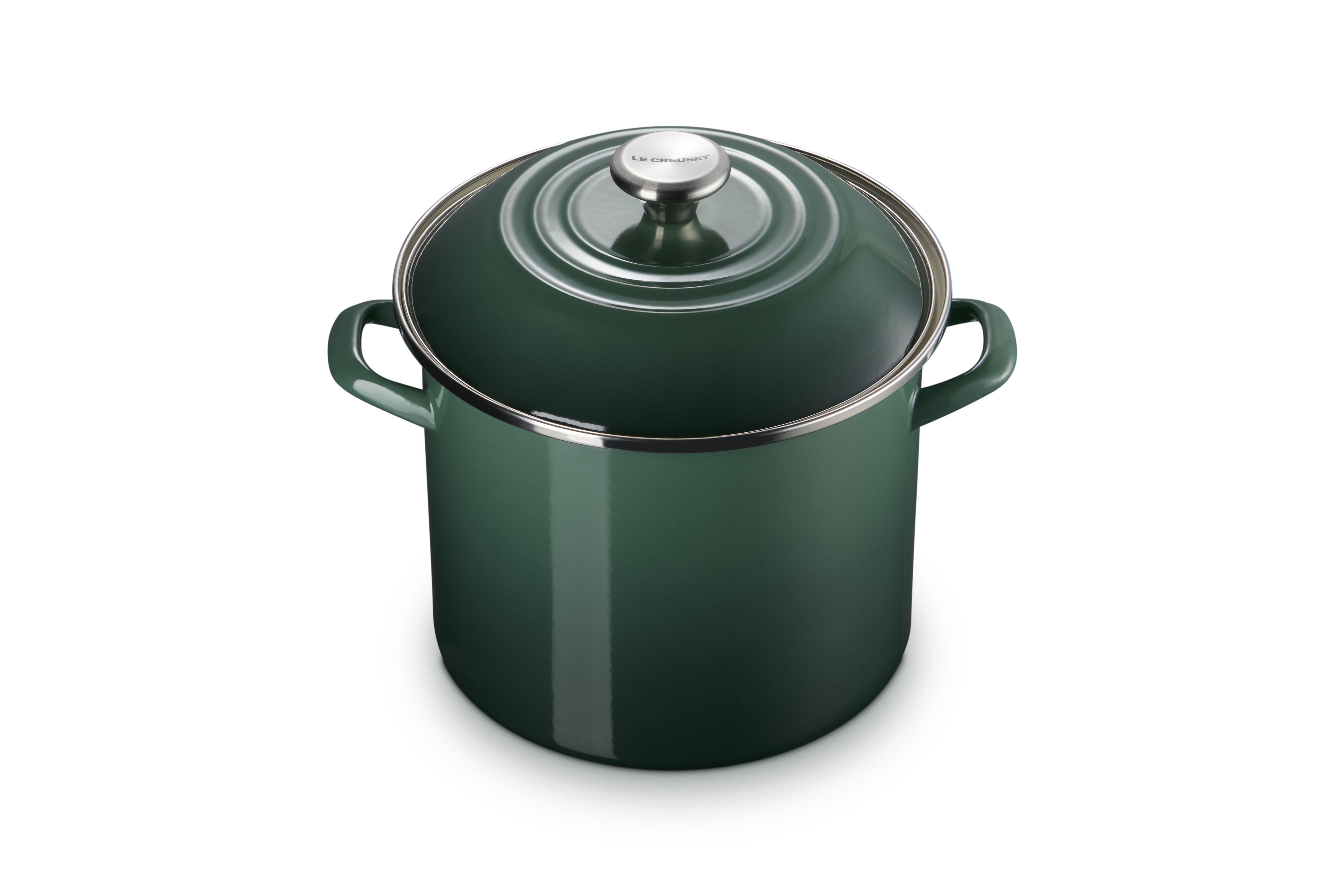 10 Quart Artichoke Green Stock Pot with Lid - Heavy Duty Stainless Steel Cooking Pot for Soups, Stews, Pasta & Canning - Perfect for Home Chefs & Commercial Kitchens