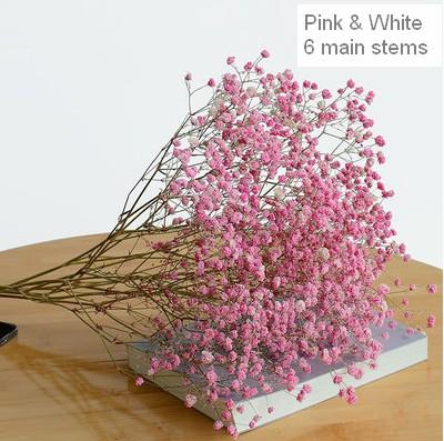 Dried Baby's Breath Bunch - Natural Gypsophila Flowers for Wedding Decor, Mason Jar Fillers, DIY Floral Arrangements | Perfect for Centerpieces, Bouquets, and Home Decor