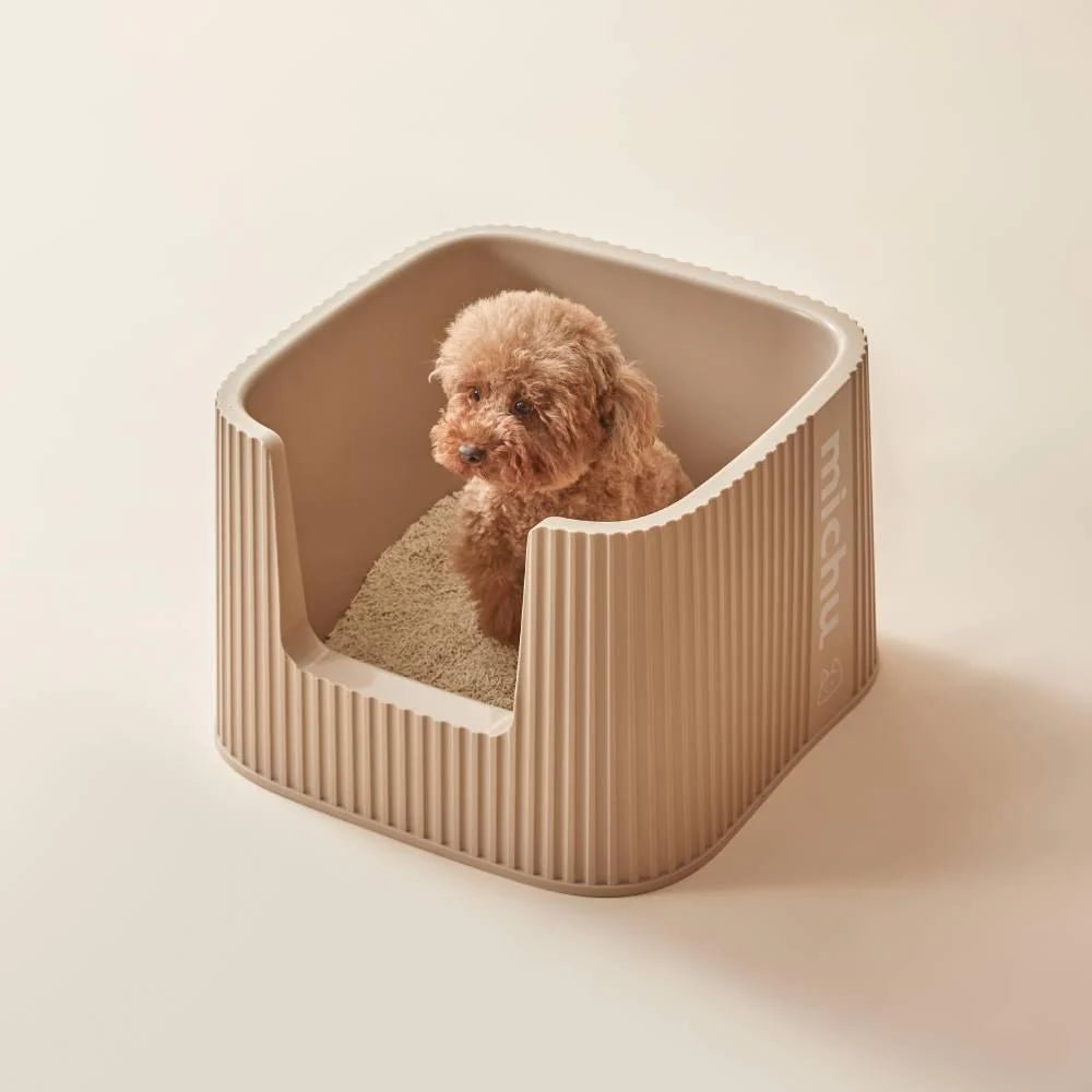 XXL BoBa Deluxe Cat Litter Box - Extra Large Spacious Design with Scoop Included - Perfect for Multiple Cats & Large Breed Felines