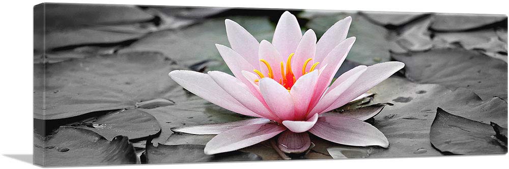 ARTCANVAS Water Lily Lotus Panoramic Canvas Wall Art - 36x12 Inch Framed Giclee Print for Living Room, Bedroom & Office Decor - Stretched Ready to Hang Painting (0.75
