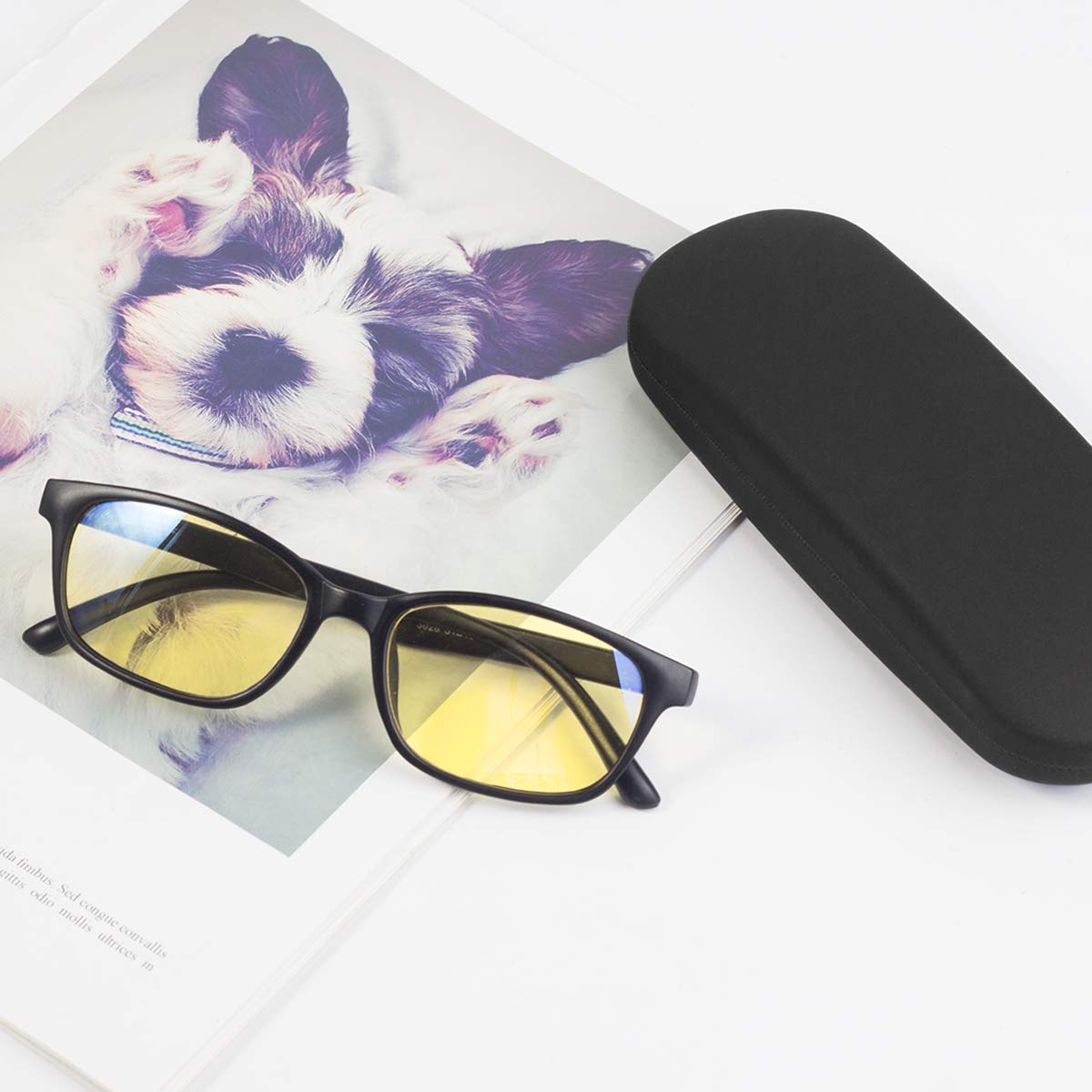 RayLove Unisex Hard Shell Eyeglasses Case - Durable Protective Glasses Storage for Men & Women - Perfect for Travel, Work, and Daily Use