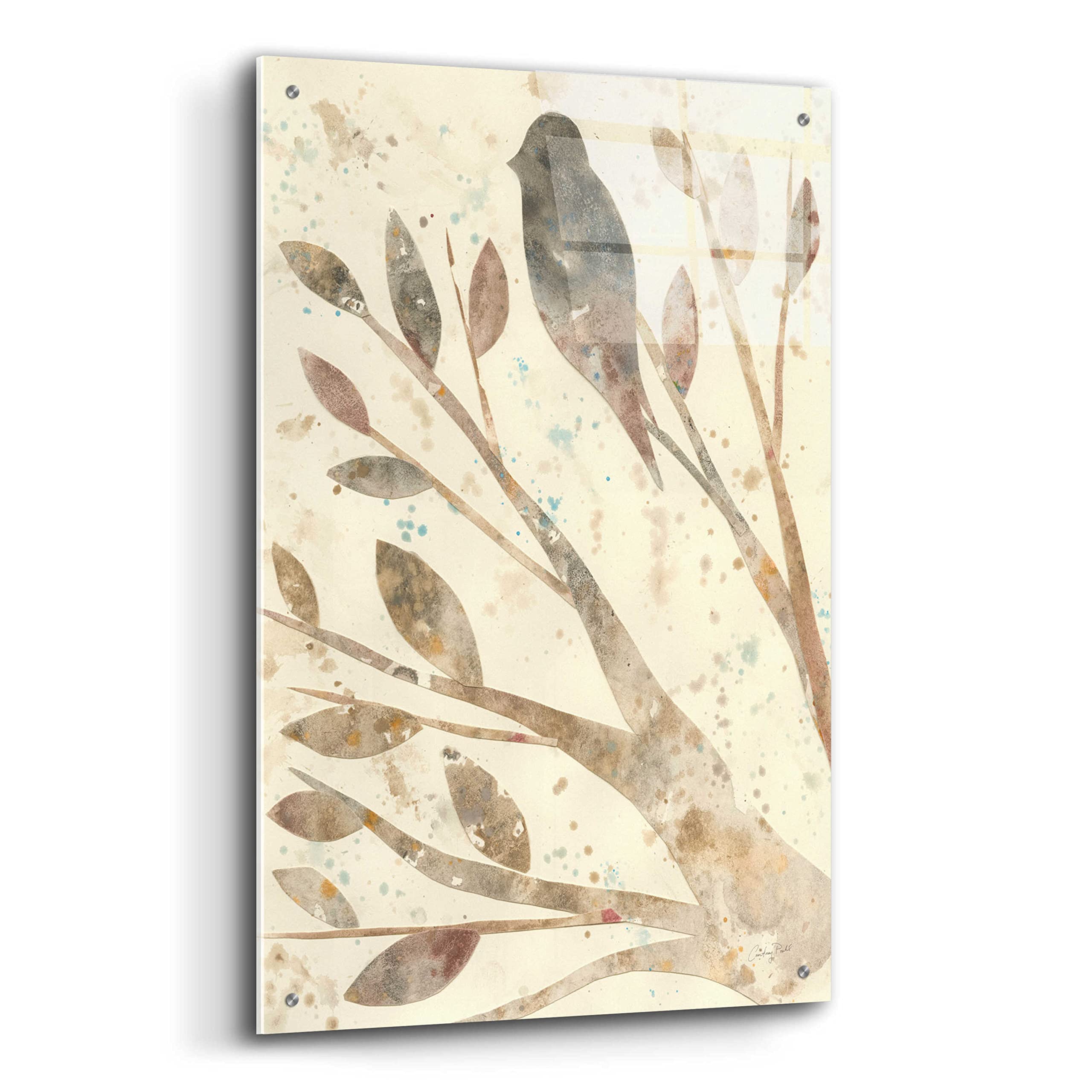 Natural Wonder II by Courtney Prahl - Stunning Acrylic Glass Wall Art Print 24x36 Inches - Modern Home Decor for Living Room, Bedroom & Office