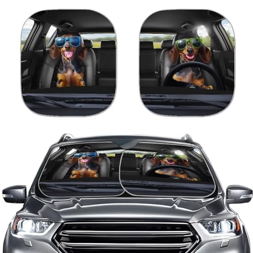 Funny Dog Driver