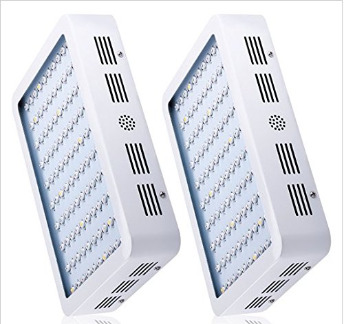 GOWE 2-Pack 300W Full Spectrum LED Grow Light Panel for Indoor Plants - White Light for Medical Flowers, Vegetables, and All Growth Stages (Seedling, Vegetative, Flowering) - Perfect for Hydroponics, Greenhouses, and Home Gardening