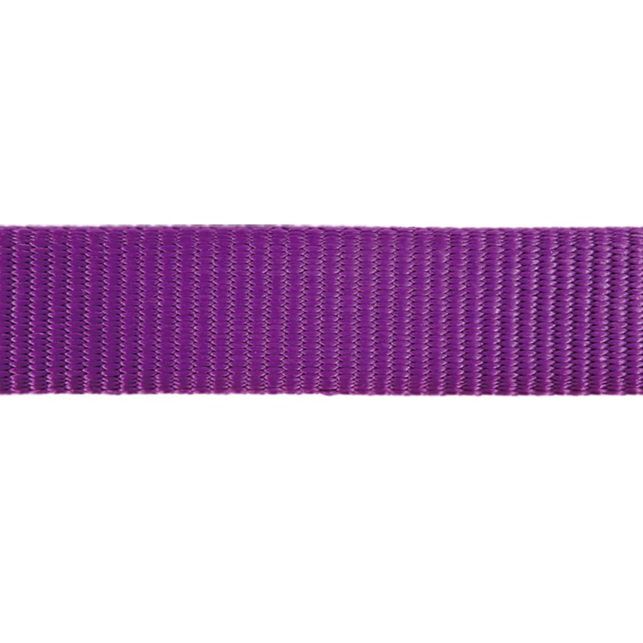 Red Dingo Purple Classic Adjustable Dog Lead - Strong Nylon Reflective Leash for Medium to Large Dogs - Perfect for Walking, Running & Outdoor Adventures