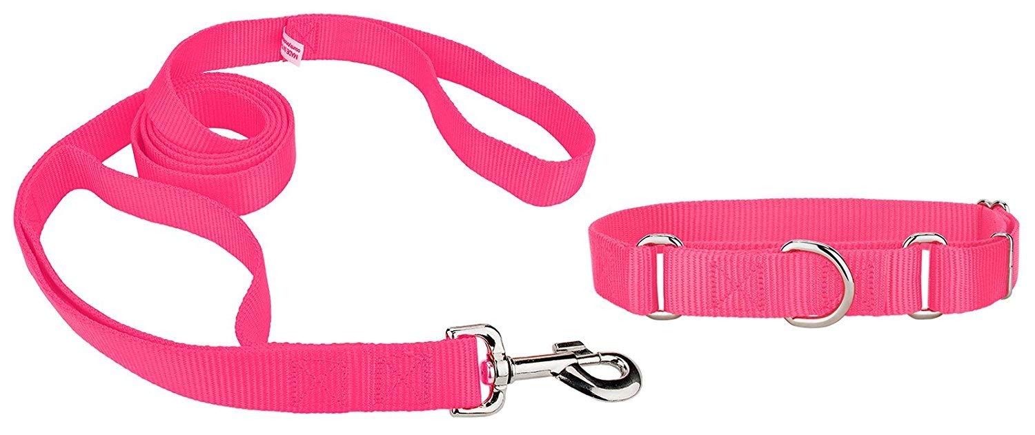 **Pets Empire Adjustable Nylon Dog Leash with Collar Belt - Durable Tracking Lead for Small Dogs, Large 25mm (Color May Vary) - Perfect for Walking, Training & Outdoor Adventures**