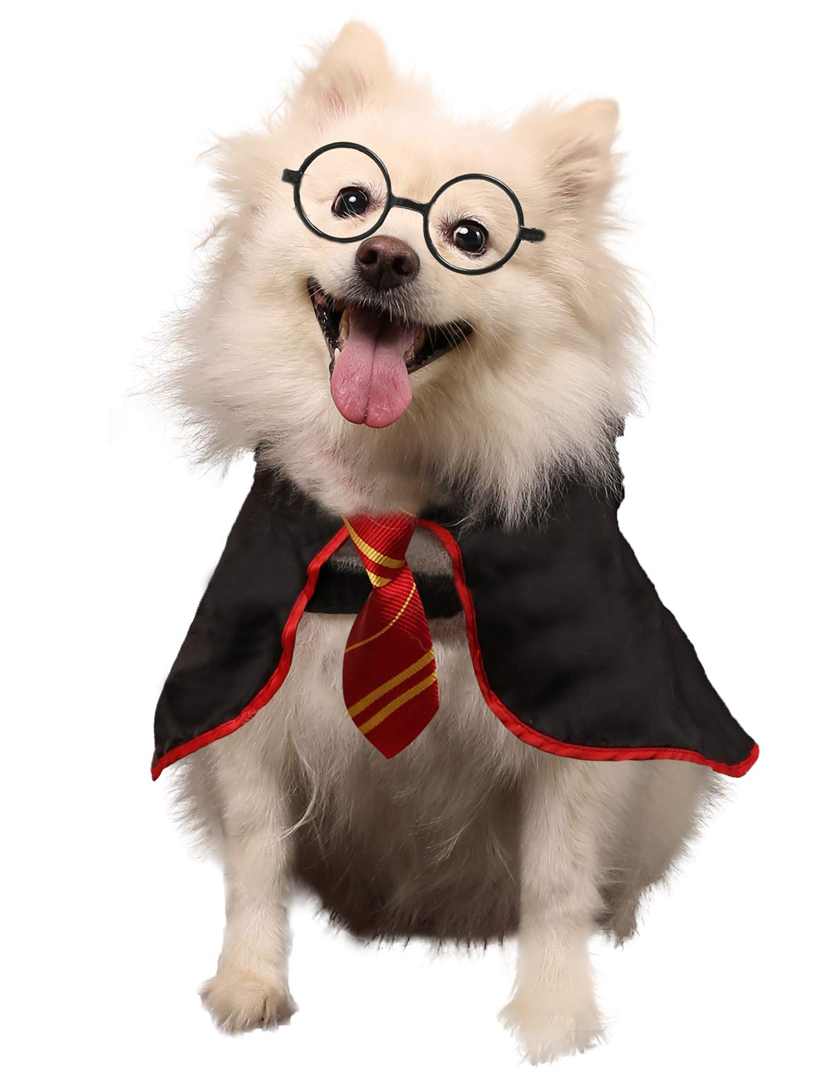 Halloween Pet Costume - Wizard Shirt & Soft Hoodie with Glasses for Dogs and Cats (Small) | Cute Halloween Outfit for Pets, Perfect for Trick-or-Treating & Costume Parties