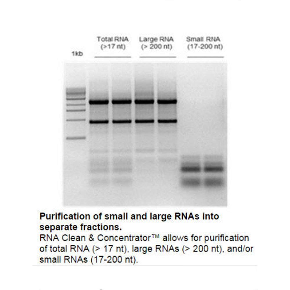 Zymo Research RNA Clean & Concentrator-25 Kit | 50 Preps | High-Purity RNA Extraction for PCR, NGS & Molecular Biology Research