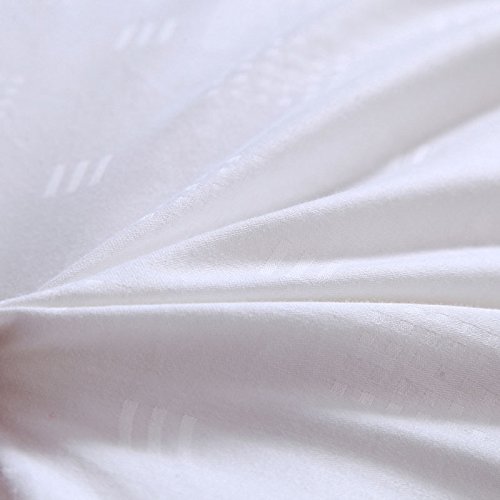 Premium 100% Pure Long Fiber Mulberry Silk Comforter - Twin Size 68x86 Inches - Breathable Summer Weight with Cotton Satin Sateen Cover - Ideal for Hot Sleepers, Luxury Bedding & Temperature Regulation