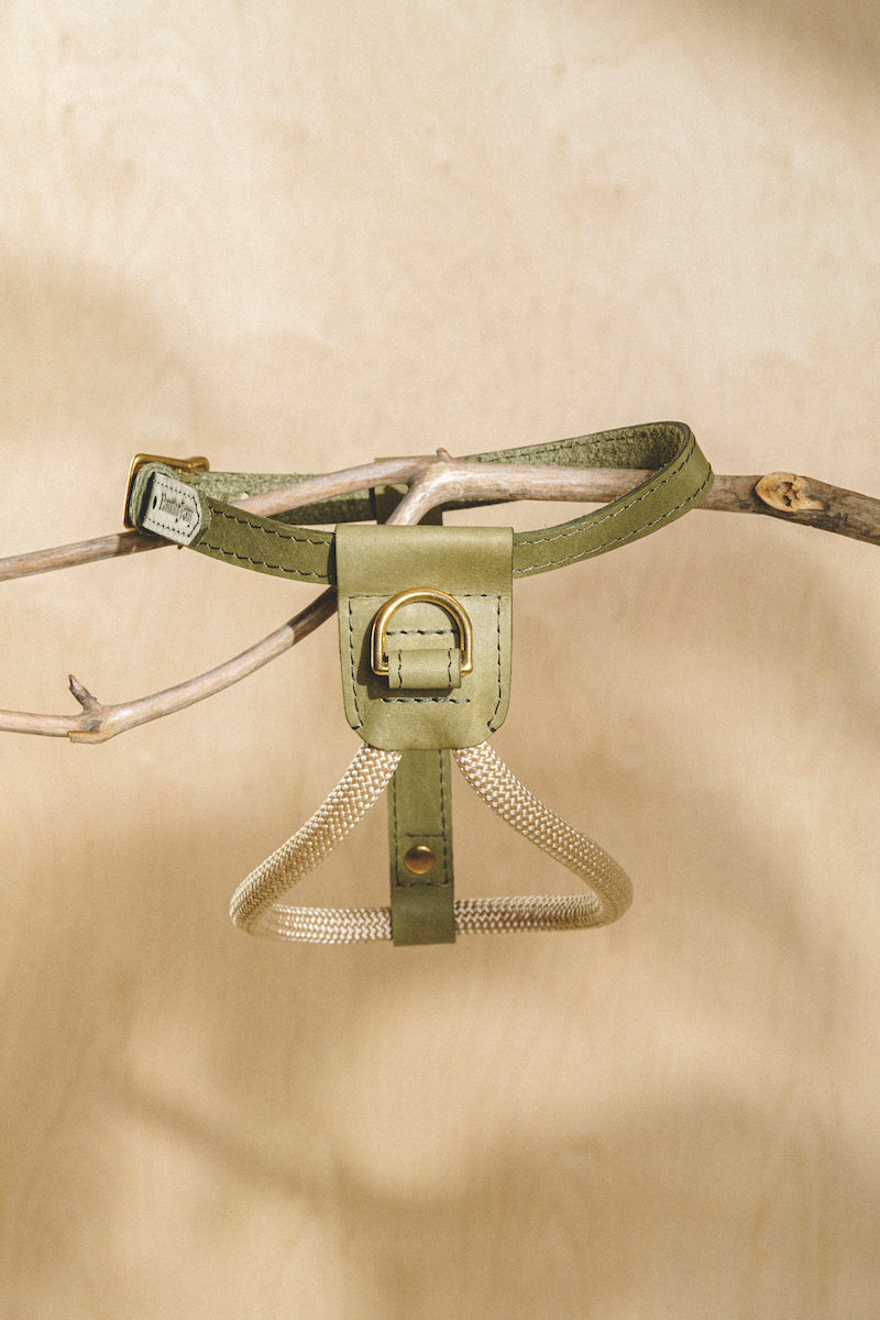 Premium Green Lightweight Rope Pony Harness for Equestrian Training & Trail Riding | Durable Makarony Design for Comfort & Control