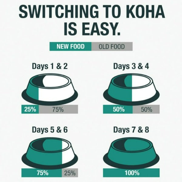 KOHA LID Duck Pate Grain-Free Canned Cat Food - High Protein, Limited Ingredient Diet for Cats with Sensitive Stomachs - Perfect for Mealtime, Travel & Emergency Pet Food Supply