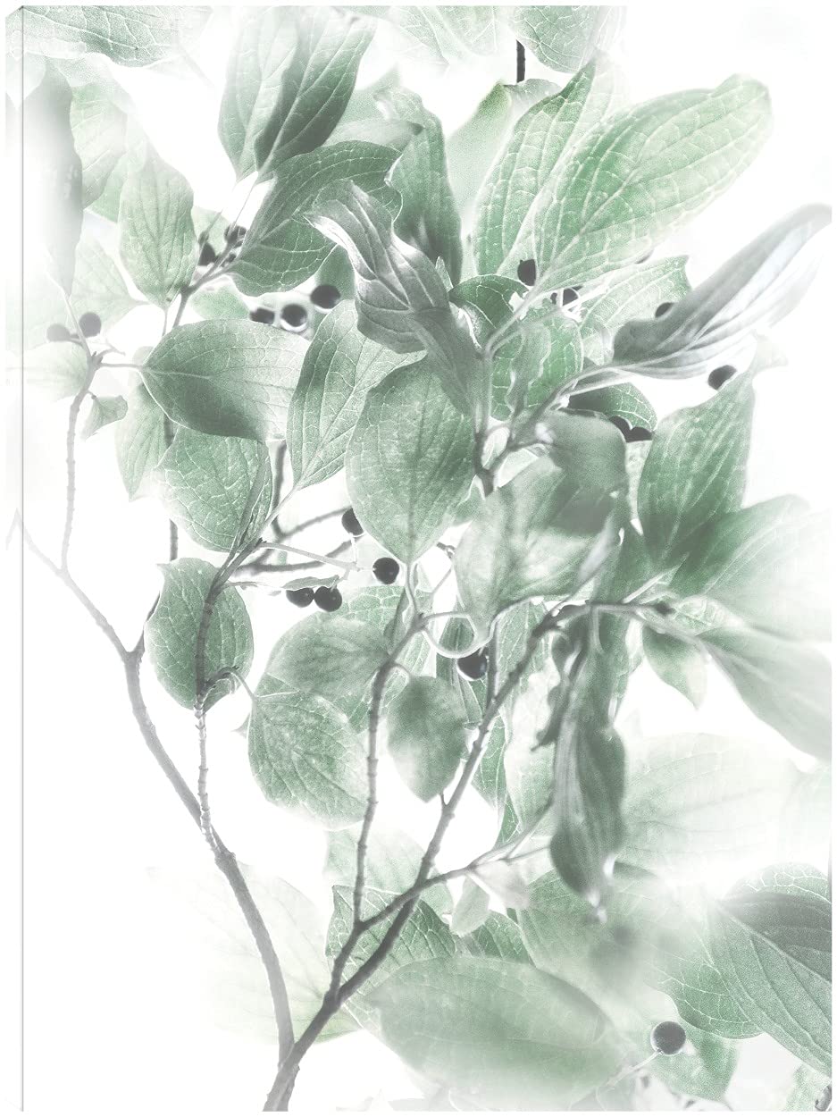 Berry Blush Fine Art Canvas Wall Decor by Irene Weisz - 24x32 Inches - Ready to Hang for Living Room, Bedroom, Office & More - Perfect for Home, Kitchen, Bathroom & Dining Room Decor