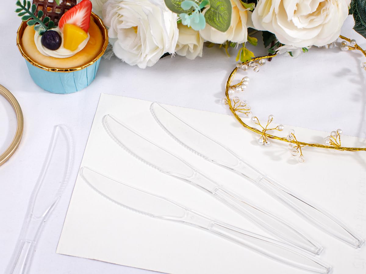 Liacere 360PCS Heavy Duty Disposable Plastic Knives - BPA-Free, Heat Resistant & Durable Clear Plastic Cutlery for Parties, Picnics, BBQs, and Catering Events - Bulk Pack of Premium Plastic Knives