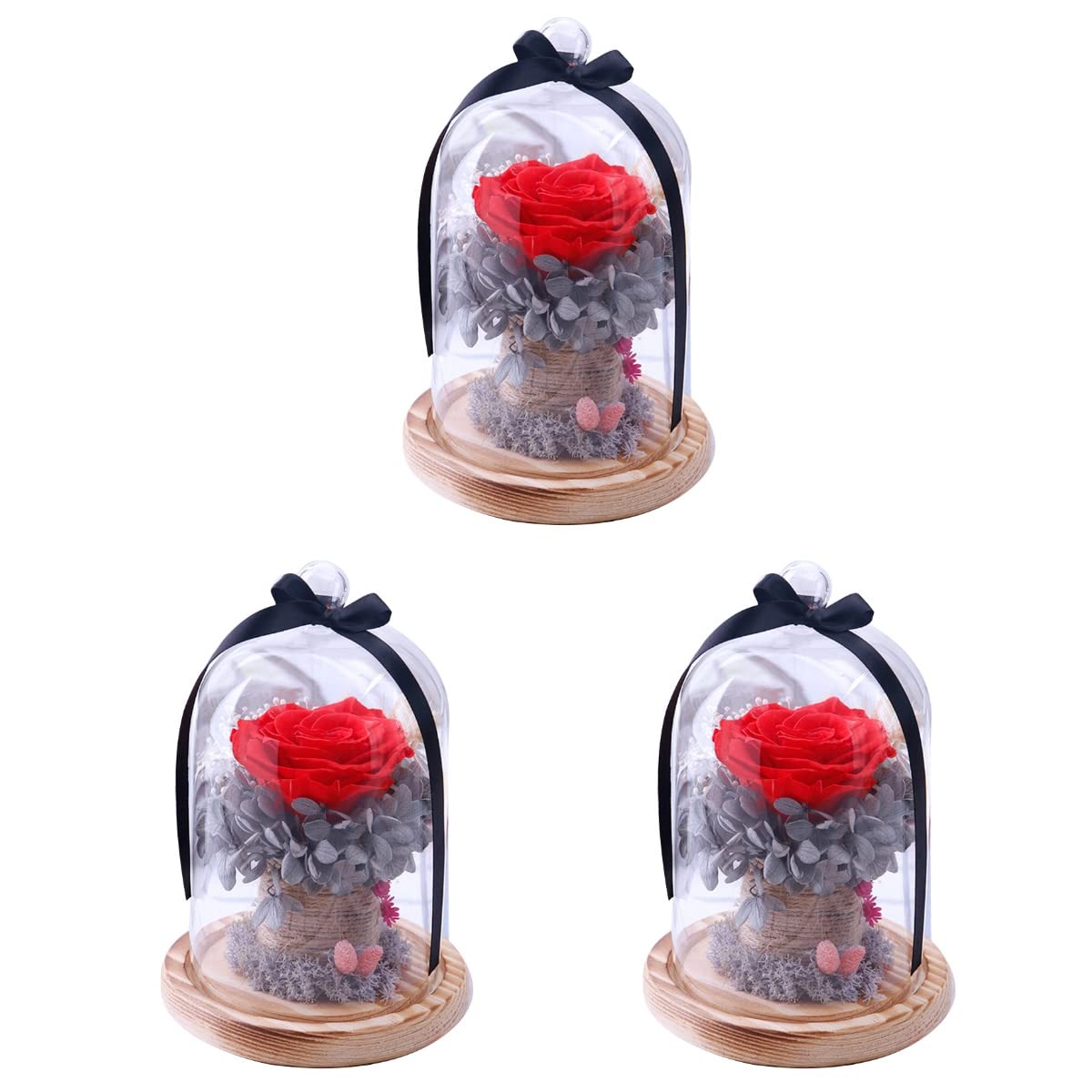 SOIMISS 3-Piece Preserved Rose in Glass Dome - Eternal Rose Display Case, Romantic Valentine's Day Gift for Her, Anniversary Present for Wife/Girlfriend (Red) - Perfect for Home Decor, Wedding Centerpiece & Romantic Surprises