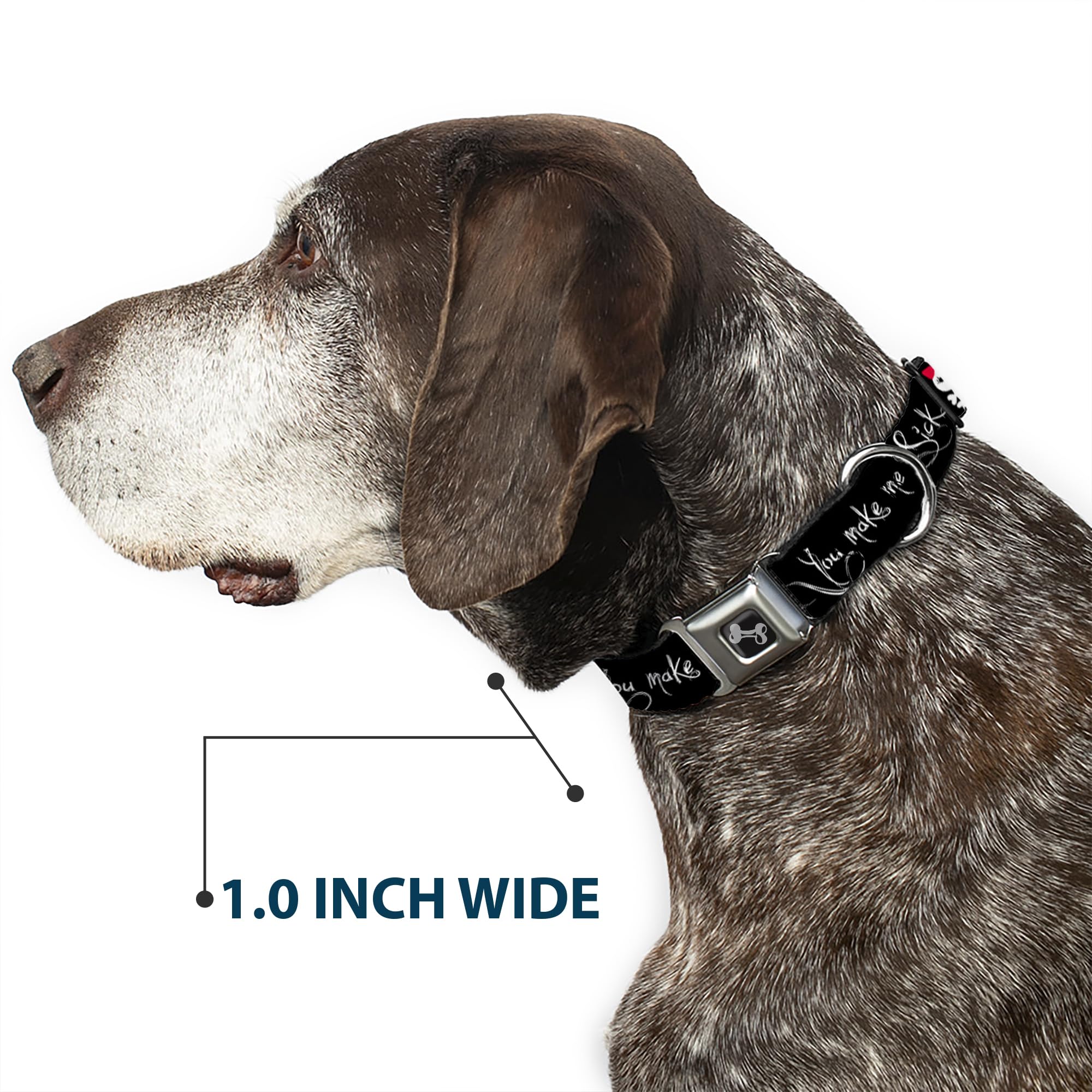 Buckle-Down Seatbelt Buckle Dog Collar - Angry Girl/Mad As Hell/You Make Me Sick - 1.5