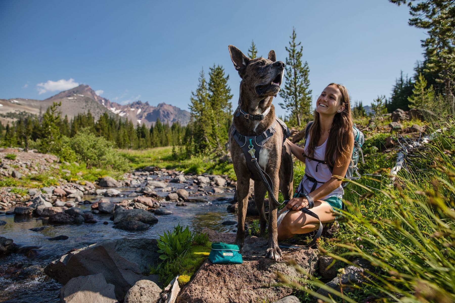 Ruffwear Minimalist Switchbak Dog Harness in Red Sumac - Lightweight & Durable for Hiking, Running & Outdoor Adventures