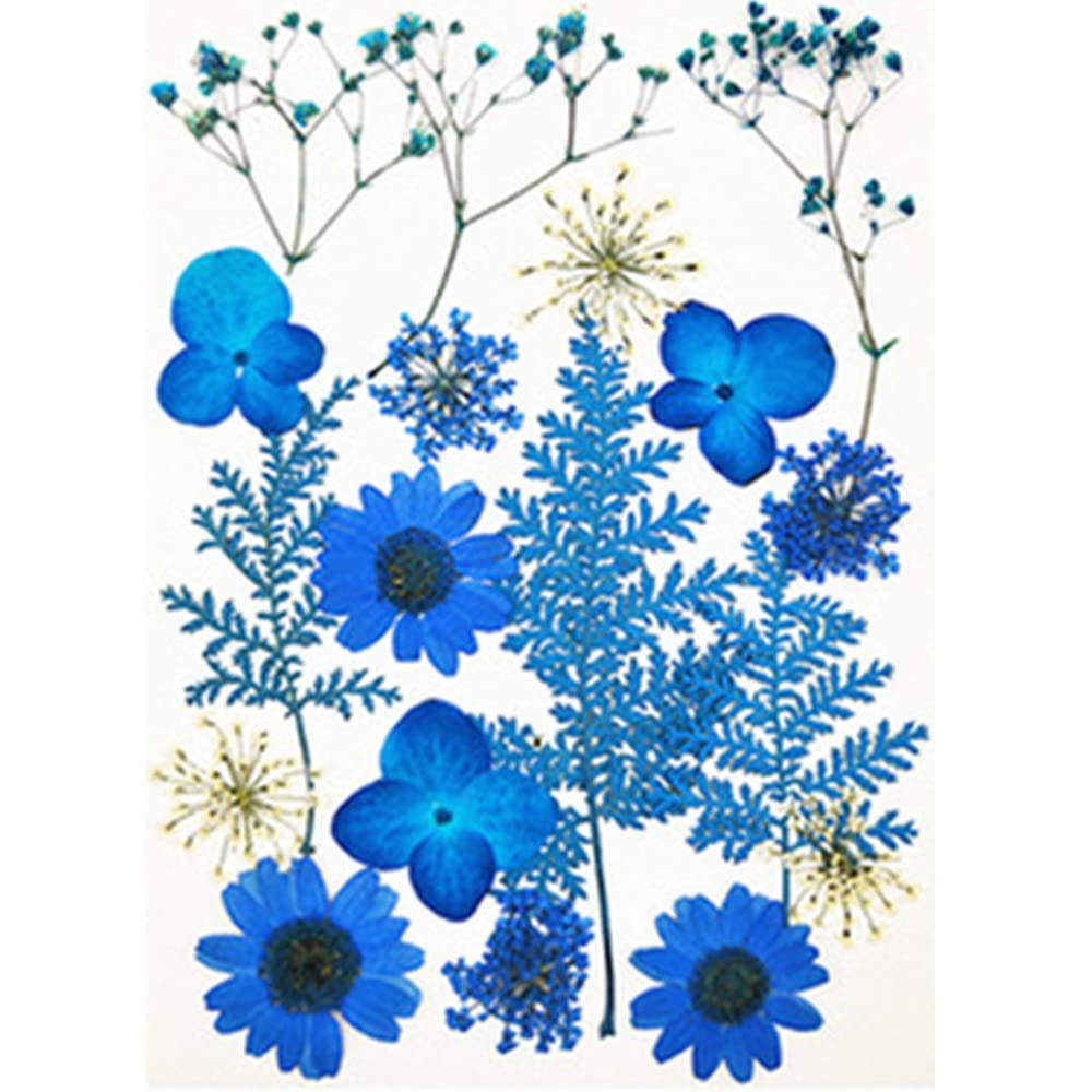 30-Piece Transparent Dried Flower Bookmarks Set - Handmade Pressed Floral Bookmark Collection (Bag E-18) for Reading, Journaling, Scrapbooking & Gift Giving