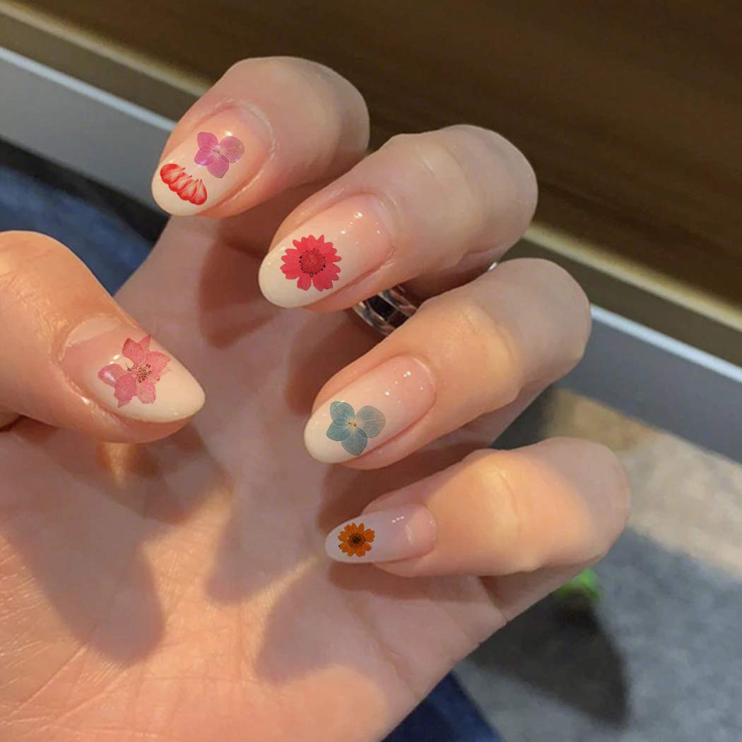 SOWUNO 3D Pressed Flower Nail Art Kit - 3 Box Mini Dried Real Flowers for DIY Nail Decoration | Perfect for Nail Salon, Home Manicure & Creative Nail Designs